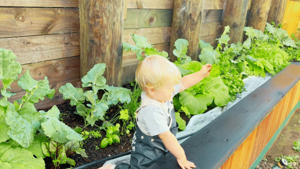 toddler holding up leaf in garden