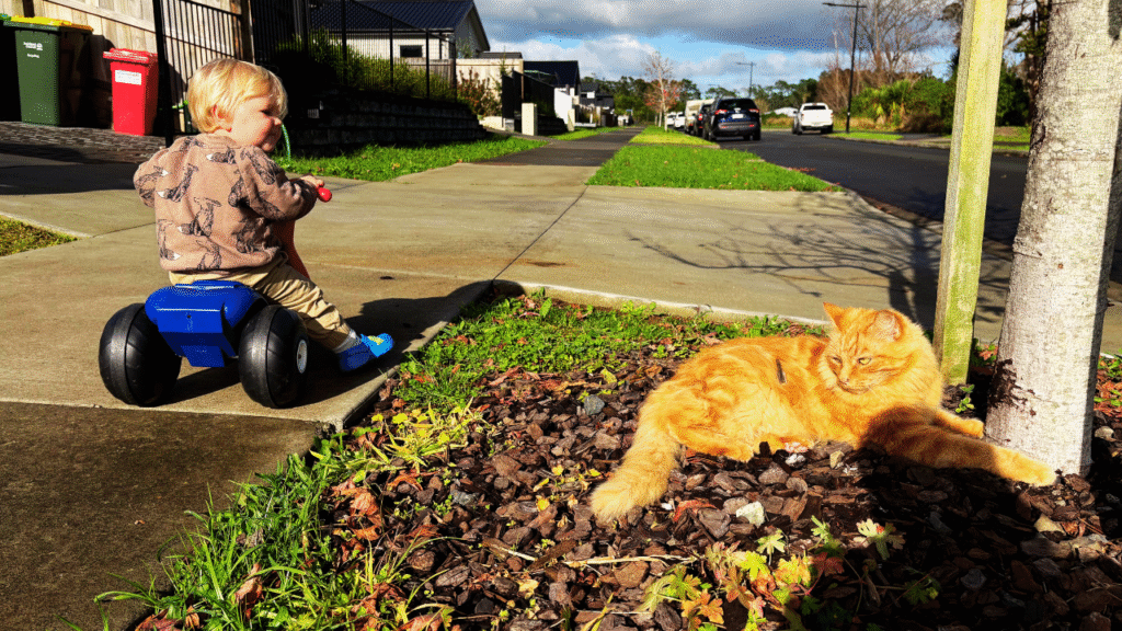 toddler and cat playing in autumn leaves
