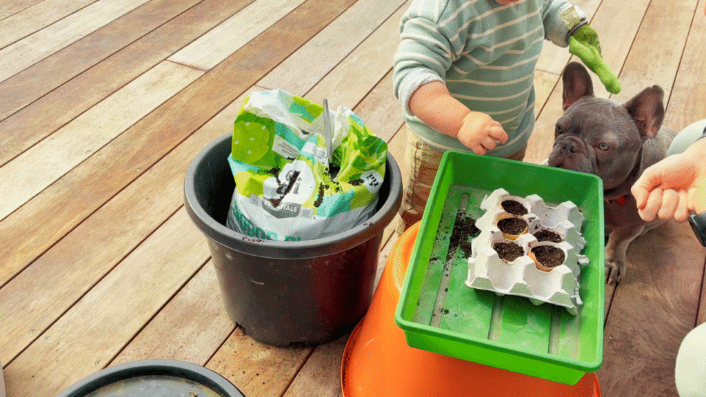 Toddler planting seeds in eggshell planters