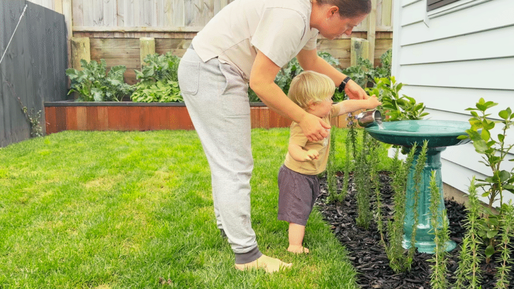 Toddler helping to add water to bird bath