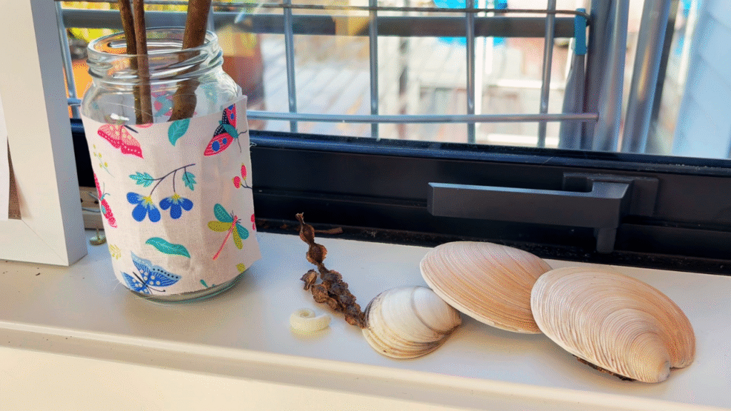 Shells and blossoms displayed on spring nature table