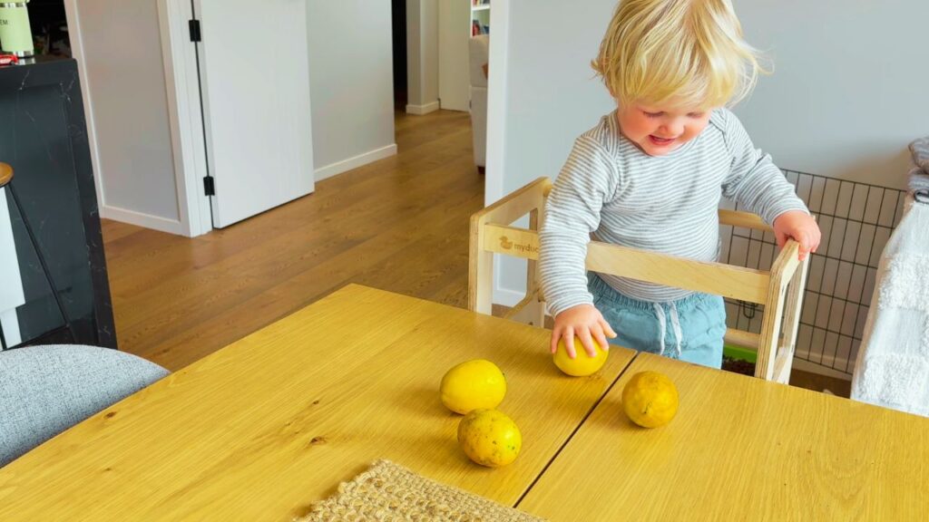 toddler helping to roll lemons before they are juiced