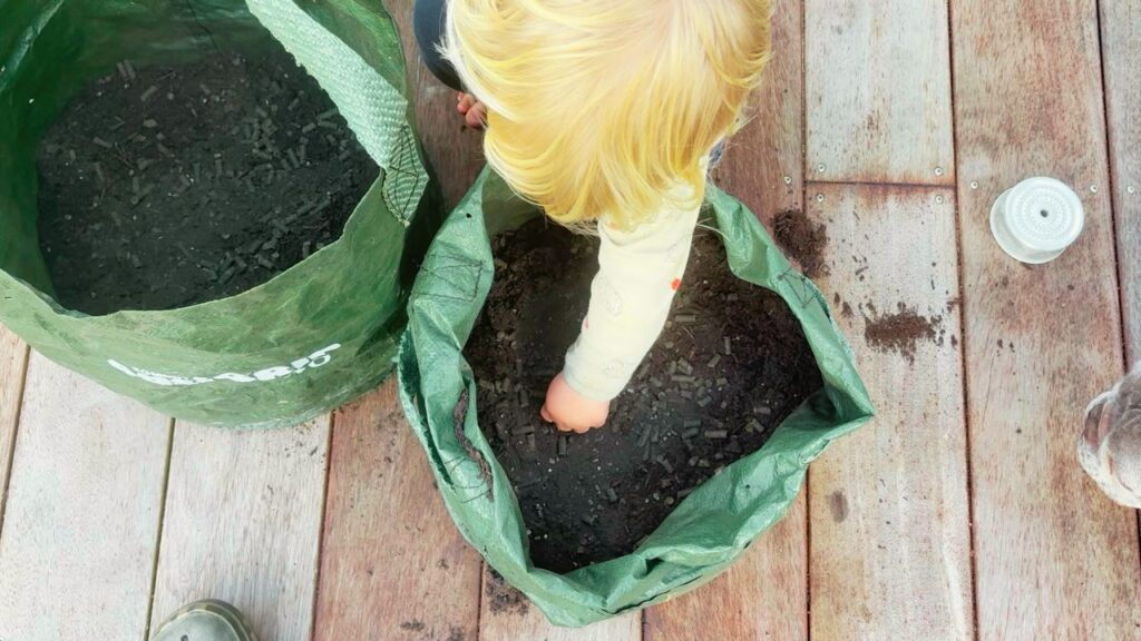 Toddler helping to get gardens ready to plant potatoes