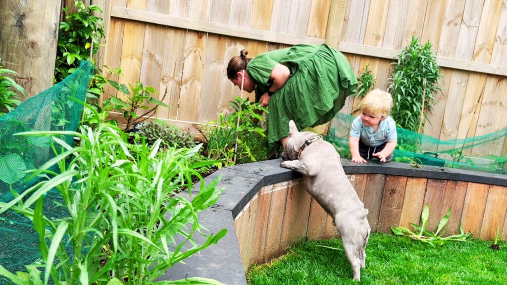 Mother, toddler, and family dog exploring the backyard herb garden together — tending to plants and discovering new growth in a raised garden bed.