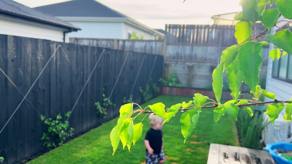 Backyard scene with a toddler playing in the distance and fresh green leaves in the foreground.
