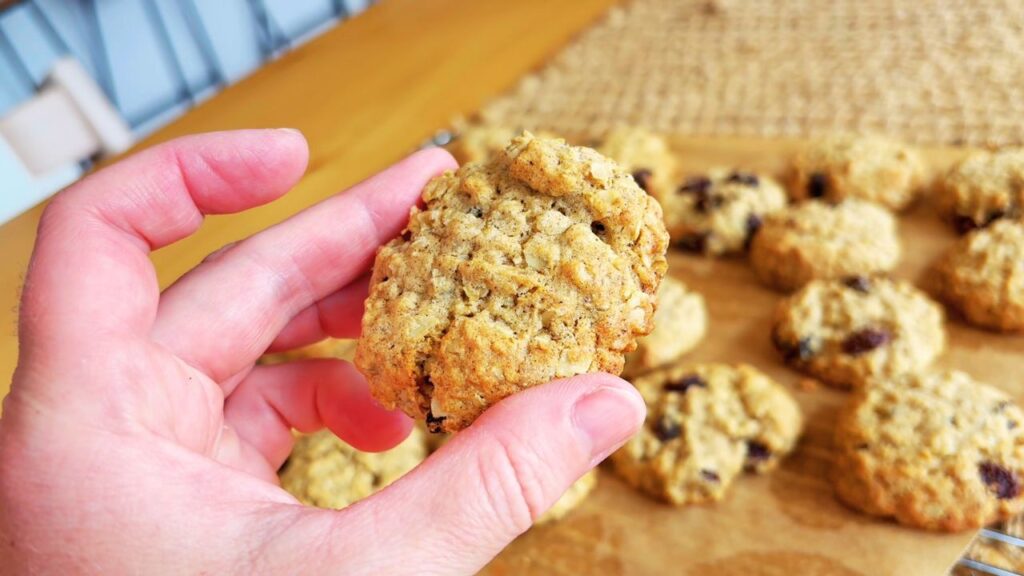 Soft oat and raisin toddler cookies held in hand, showing a chewy texture and golden edges