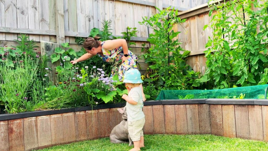 Harvesting strawberries and cucumbers together in the garden as part of a slow morning rhythm